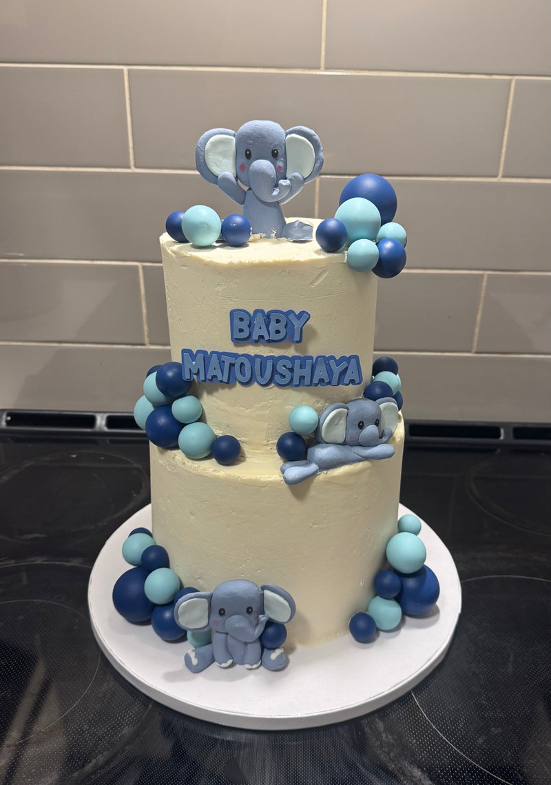Two Tier Cakes