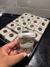 Custom Treats